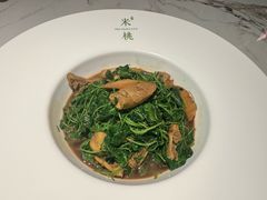 -米桃-吴韵风雅·拙园(北外滩来福士店)