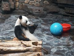 -济南野生动物世界