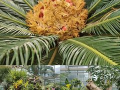 -石家庄市植物园