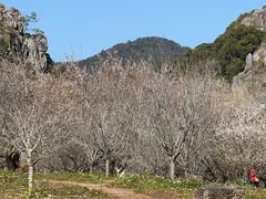 -广州市石门国家森林公园