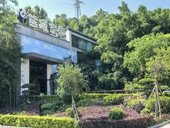 -泉州海丝野生动物世界