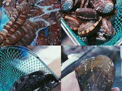 -达叔香味海鲜(海棠68环球美食街店)