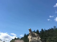 -帽儿山国家森林公园