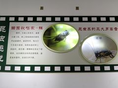 -上海昆虫博物馆