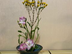 -猫音日语留学培训