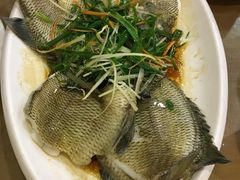 清蒸太阳鱼-大唐靓汤江门私房菜(景田店)