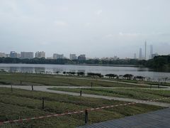 -海珠湖公园