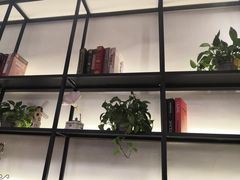 -三猫黑鱼花(南大店)