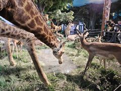 -国家自然博物馆