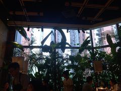 -大头椰·椰子鸡火锅(南宁万象城店)