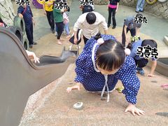-八仙山公园