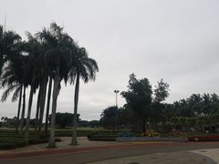 -万绿园