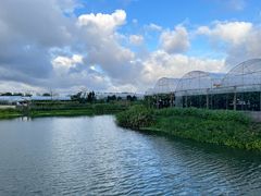 -马陆小张葡萄园农家乐