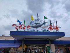 -南纪白浜Toretore市场