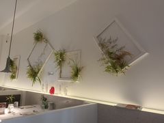 -春树下·树屋花房西餐厅(罍街AS1980店)