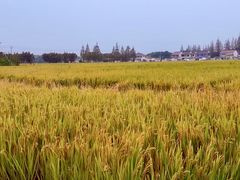 -嘉北郊野公园