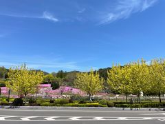 -棒棰岛宾馆景区