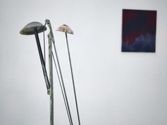 -胶囊画廊