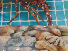 -三亚火车头万人海鲜广场