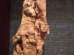 -烟台自然博物馆