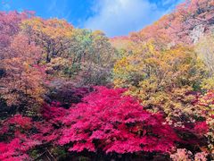 -关门山森林公园
