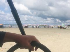 -红树林天天赶海