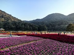 -广州市石门国家森林公园