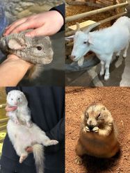 -Zoolung Zoolung动物主题公园(海信广场店)