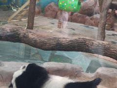 -南宁市动物园