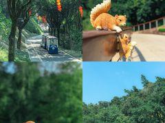 -云溪植物园