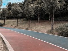 -牛岗山公园