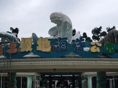 -海合安成都极地海洋公园