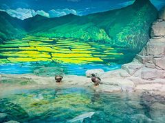 -上海海洋水族馆