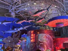 -烟台海昌鲸鲨海洋公园
