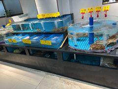-大家发海鲜城夜排档(华山中路店)