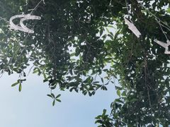 -成都南湖公园