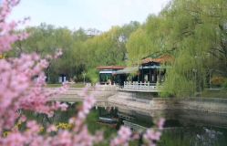 -皇家月府月子中心(沈阳店)