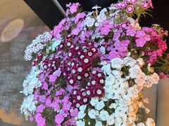 -泰合玺·精油疗愈 SPA(南京河西万达店)
