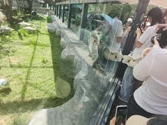 -青藏高原野生动物园