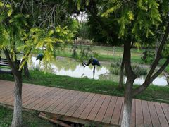 -紫颐香薰山谷景区