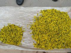 -金堂县云顶石城风景区