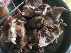 -阿鸟农庄(石壁店)