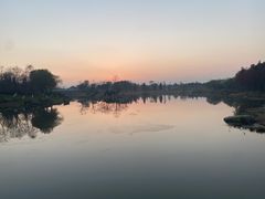-贡湖湾湿地公园
