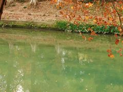 -白鹭湾湿地公园