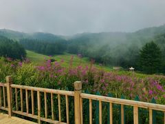 -驼梁风景区
