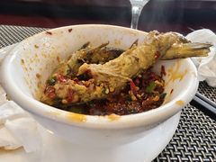 -胖大姐黄辣丁鱼庄(新津店)