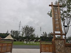 -杭州湾海上花田景区