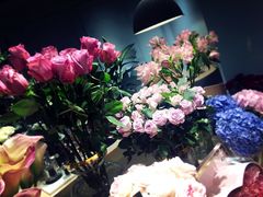 -BEAST野兽派(上海浦东嘉里城店)