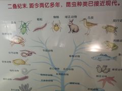 -上海昆虫博物馆