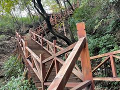 -大岭沟猕猴桃谷风景区